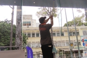 Văn Phòng Sạch Mỗi Ngày – Doanh Nghiệp Phát Triển Bền Vững